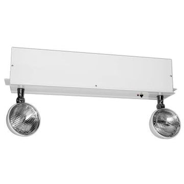 ACU Chicago Approved 2 Head Emergency Light  ELRC650