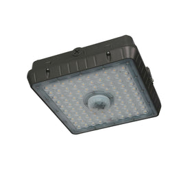 10,000 Lumen LED Canopy Light, White, Occupancy Sensor